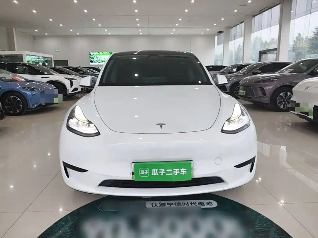 Tesla Model Y — миниатюра 3