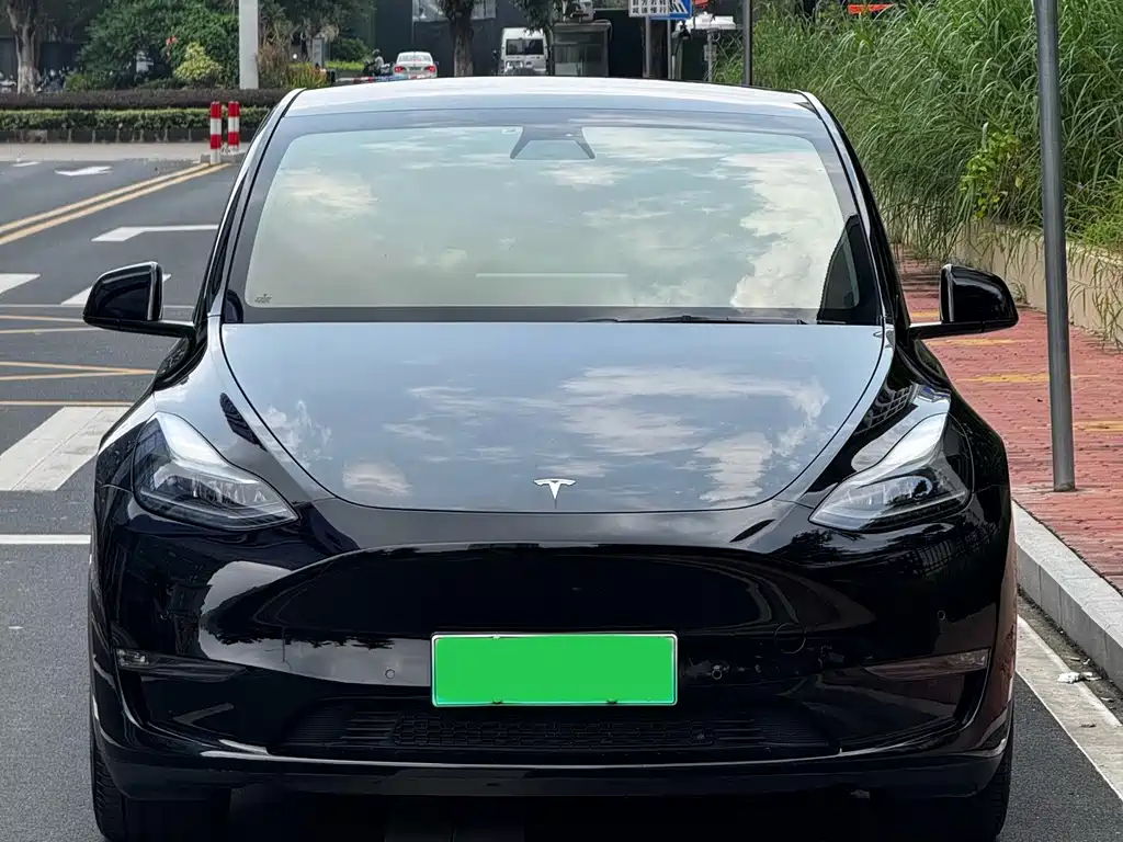 Tesla Model Y — миниатюра 2
