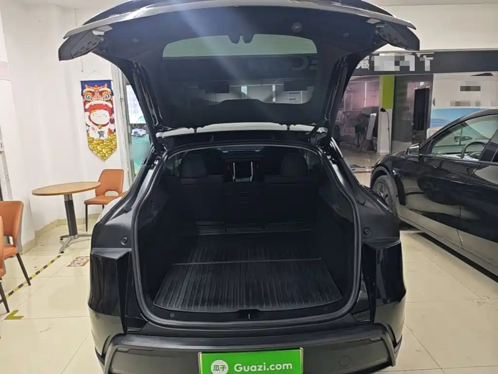 Tesla Model Y — миниатюра 19