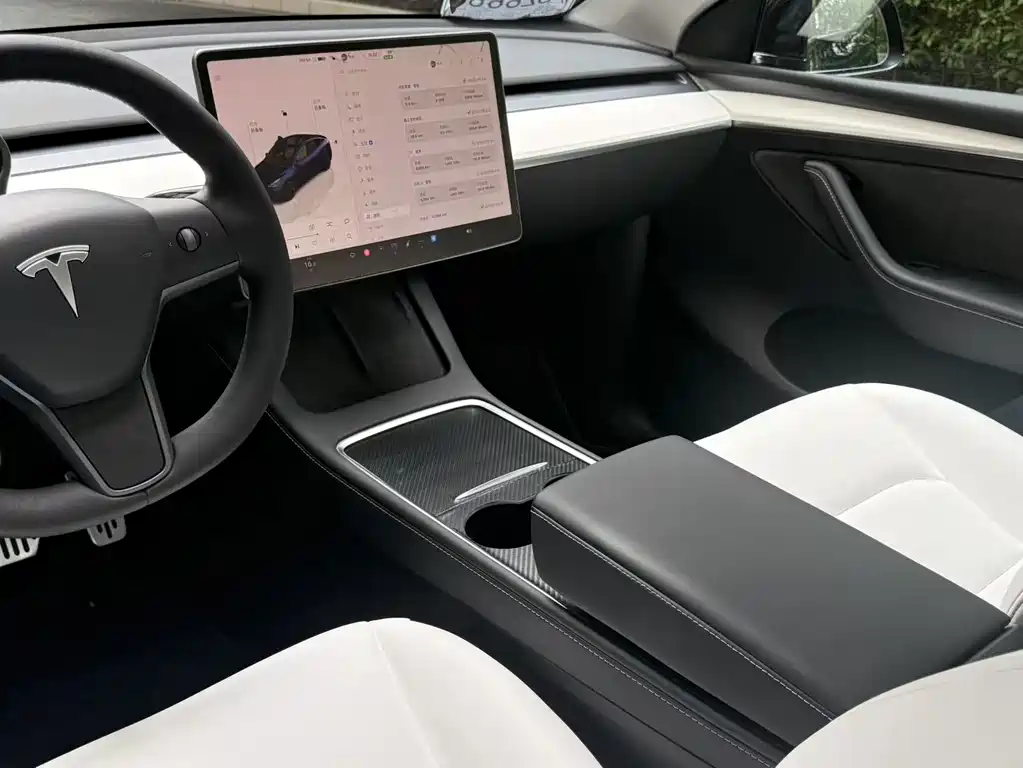 Tesla Model Y — миниатюра 6