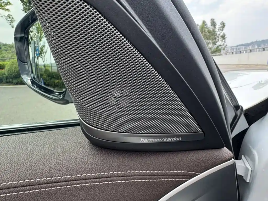 BMW 5 Series 5 2020 530Li Premium Luxury