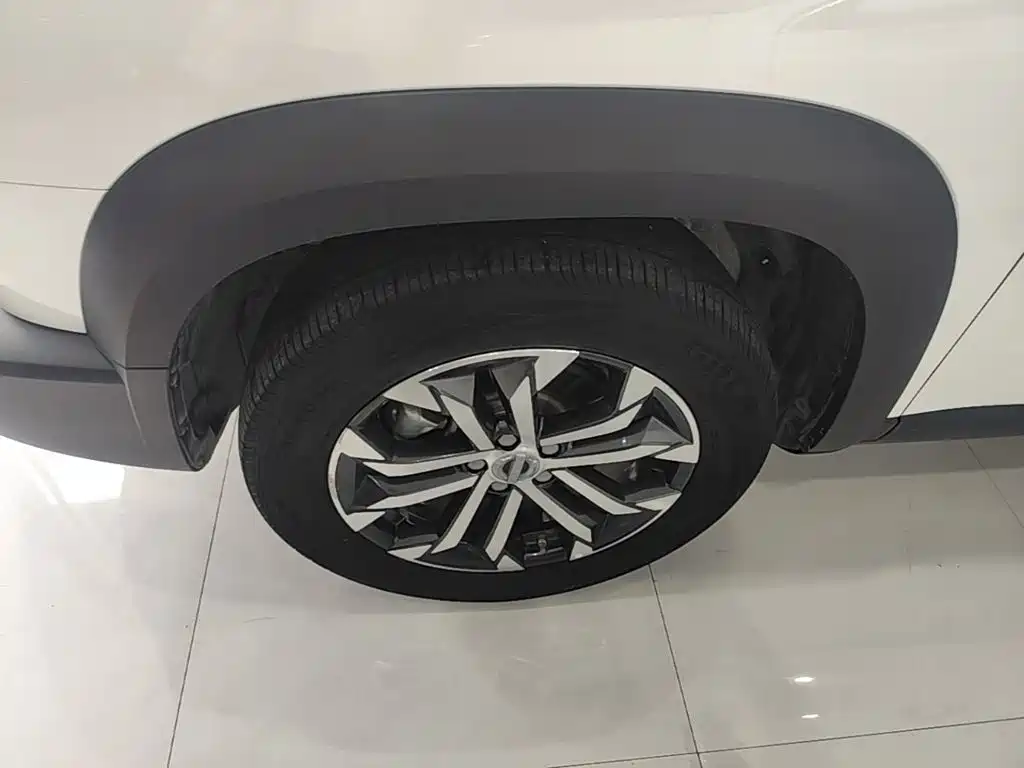 Haval Big Dog — миниатюра 23