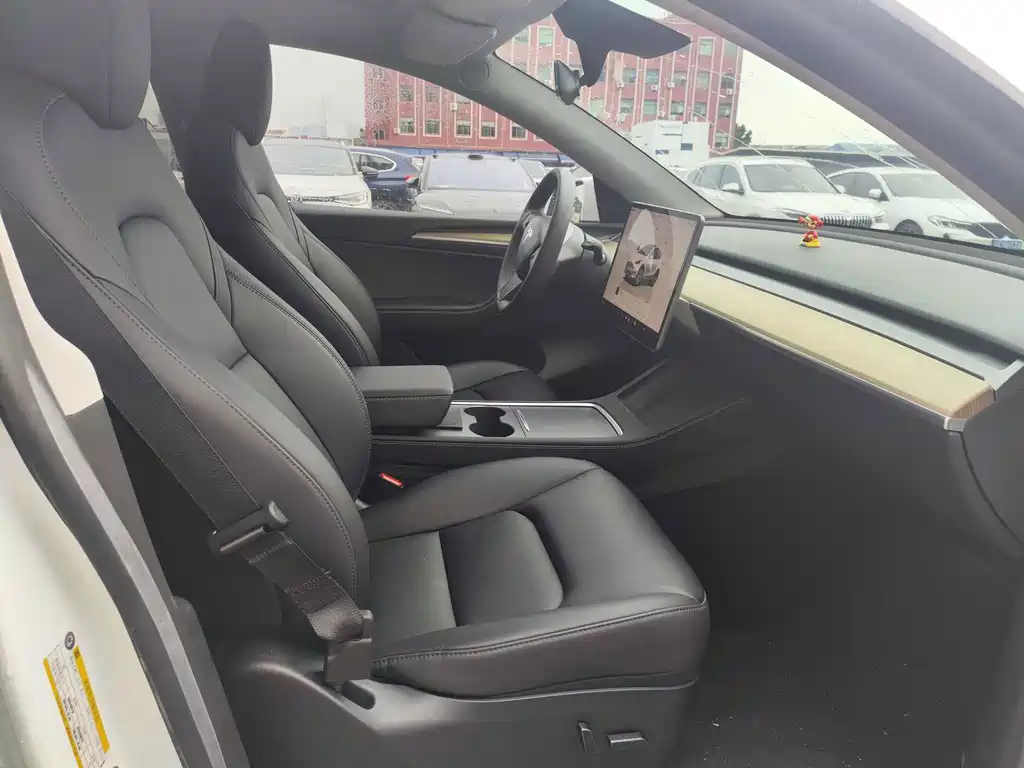 Tesla Model Y — миниатюра 10
