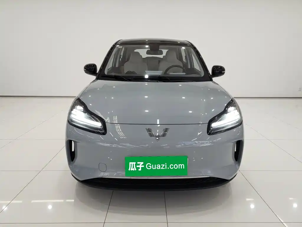 Wuling BinguoPLUS PLUS 2024 330km мест