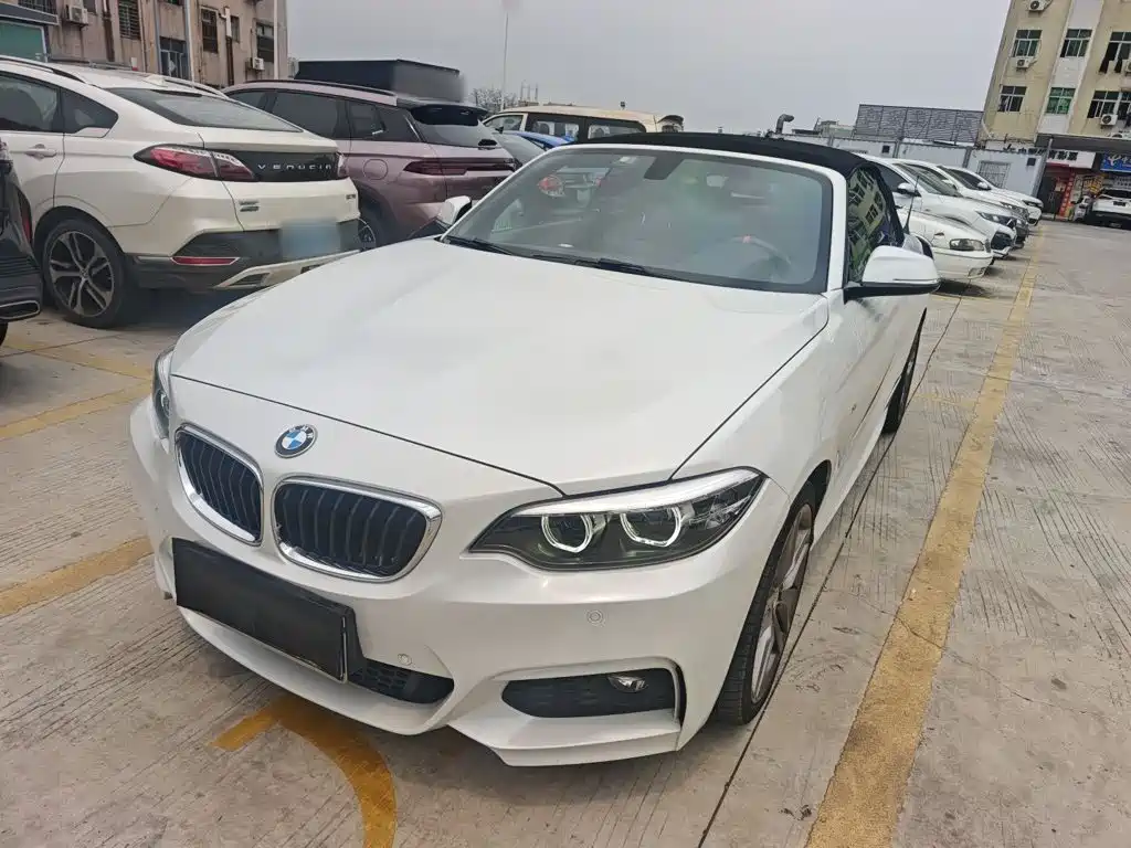 BMW 2 Series 2 2018 225i M Sport