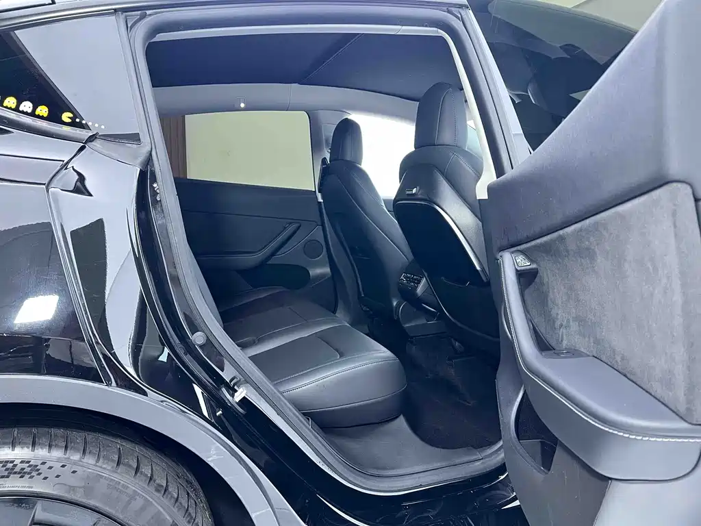 Tesla Model Y — миниатюра 10