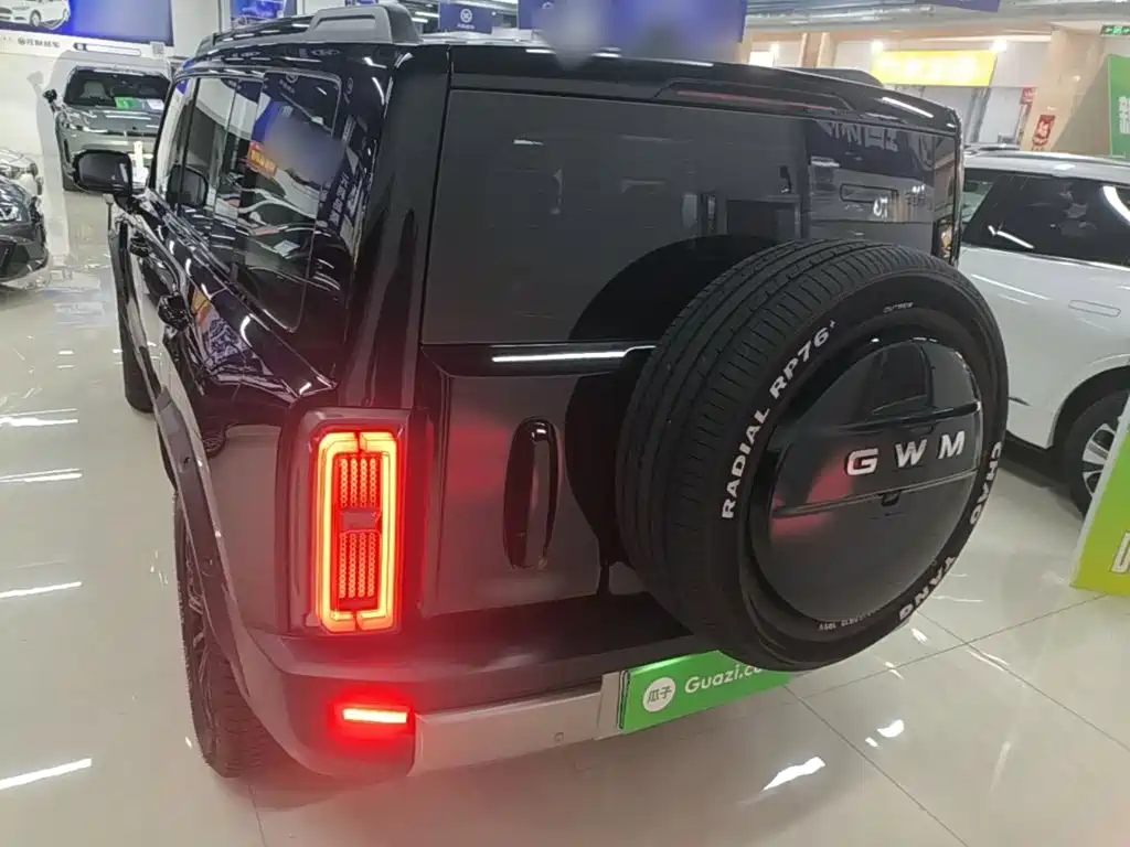 Haval Menglong New Energy — миниатюра 6