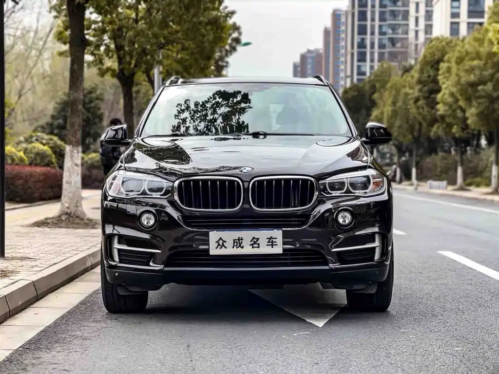 BMW X5 (Import) — миниатюра 2