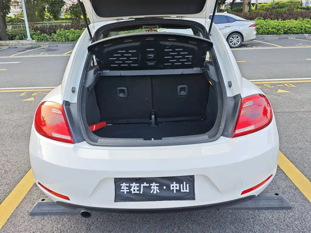 Volkswagen Beetle — миниатюра 20