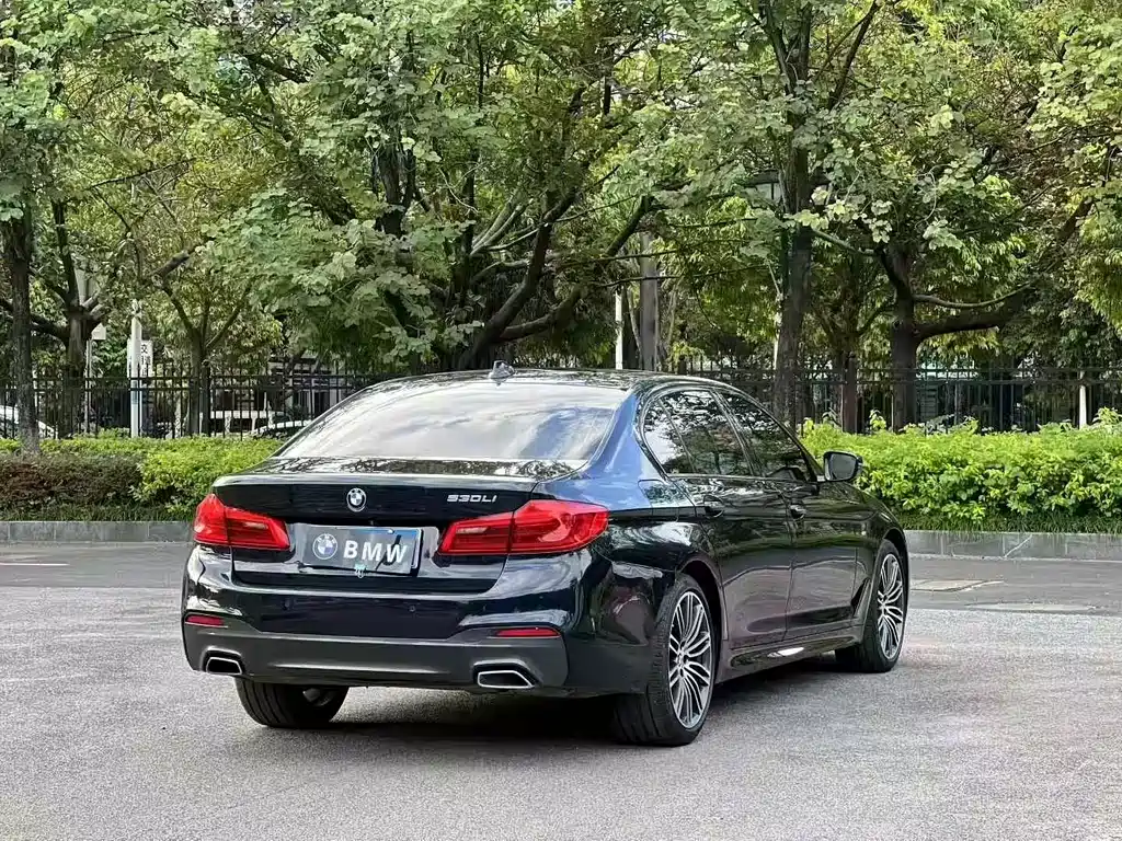 BMW 5 Series — миниатюра 4