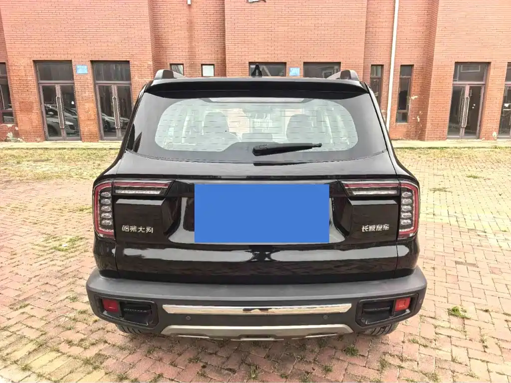 Haval Big Dog — миниатюра 8