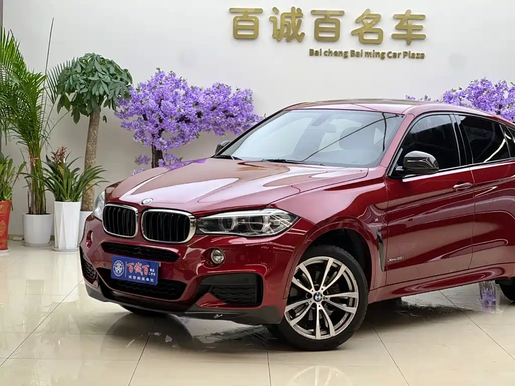 BMW X6 — миниатюра 2