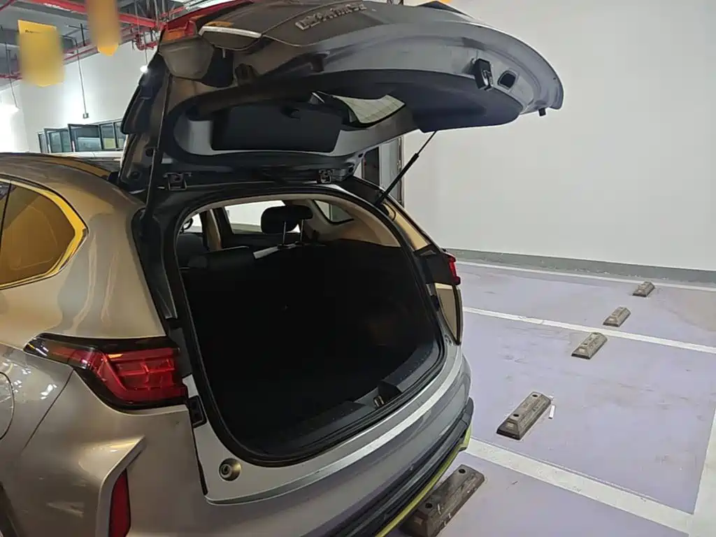 Haval Chitu — миниатюра 19