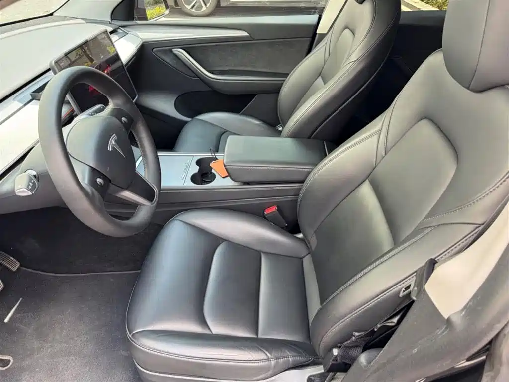 Tesla Model Y — миниатюра 4