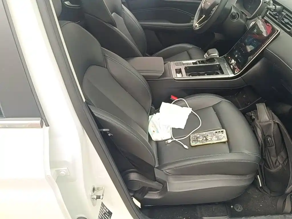 Roewe RX5 — миниатюра 25