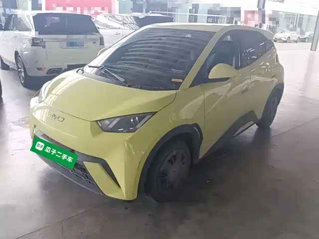2024 BYD Seagull