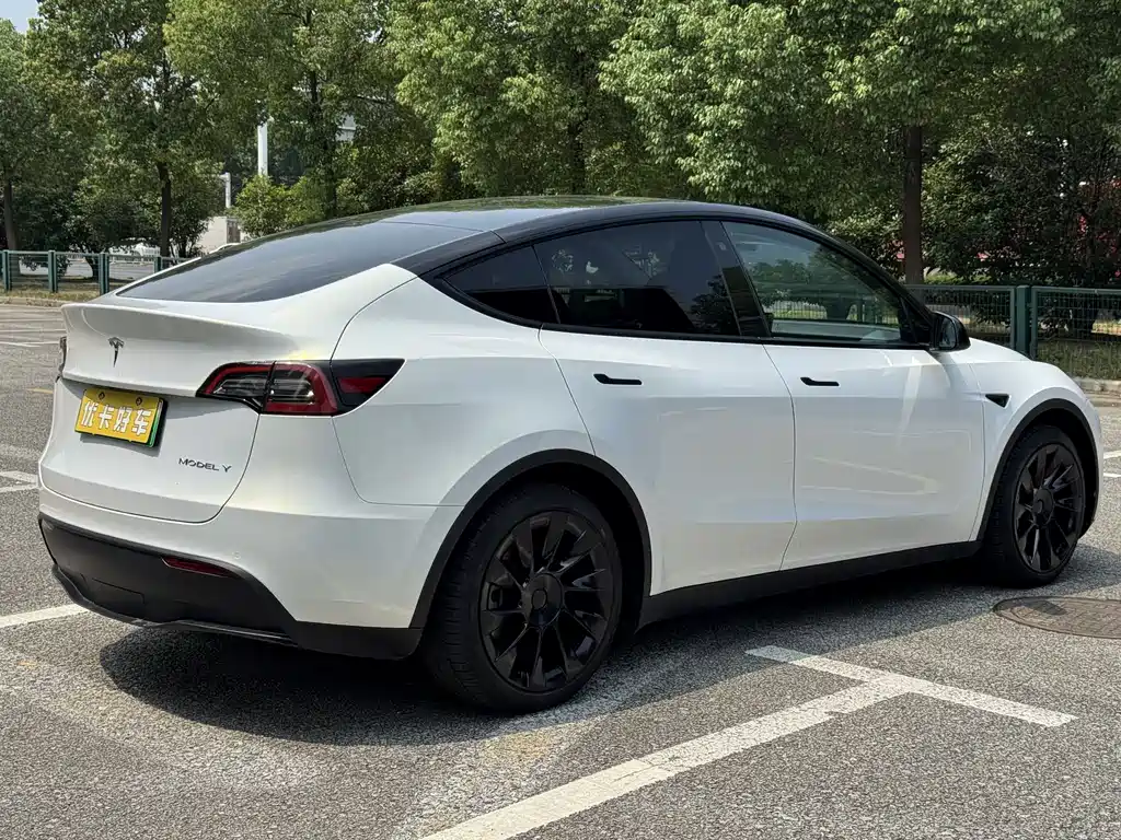 Tesla Model Y — миниатюра 2