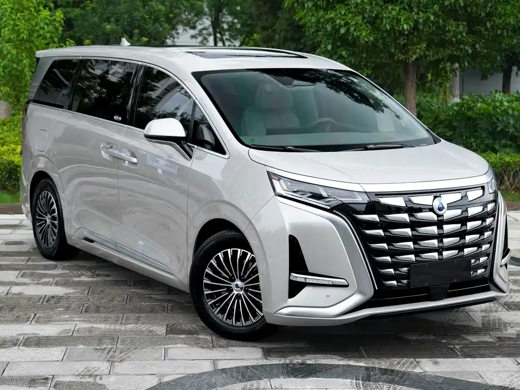 Denza D9 DM-i 970 4WD Flagship Type, фото 3