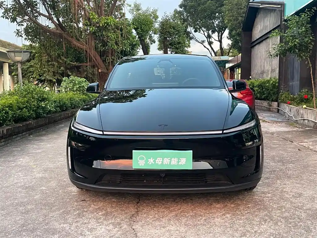 Tesla Model Y L — миниатюра 2