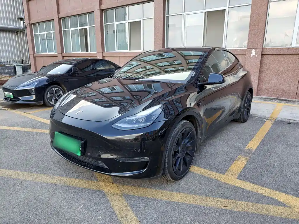 Tesla Model Y — миниатюра 2