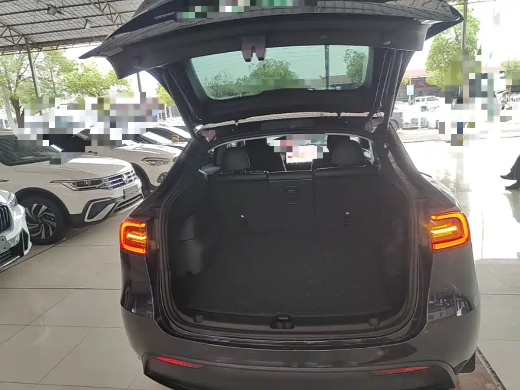Tesla Model Y — миниатюра 19