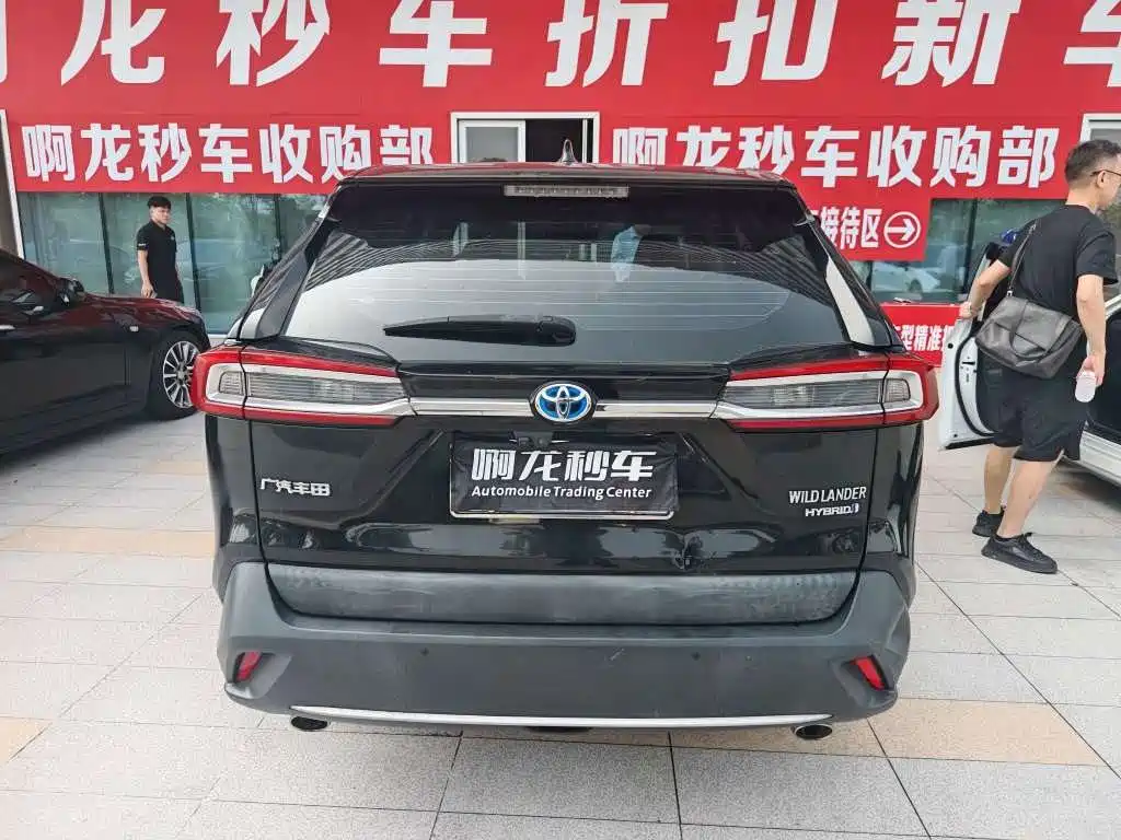 Toyota Wildlander — миниатюра 9