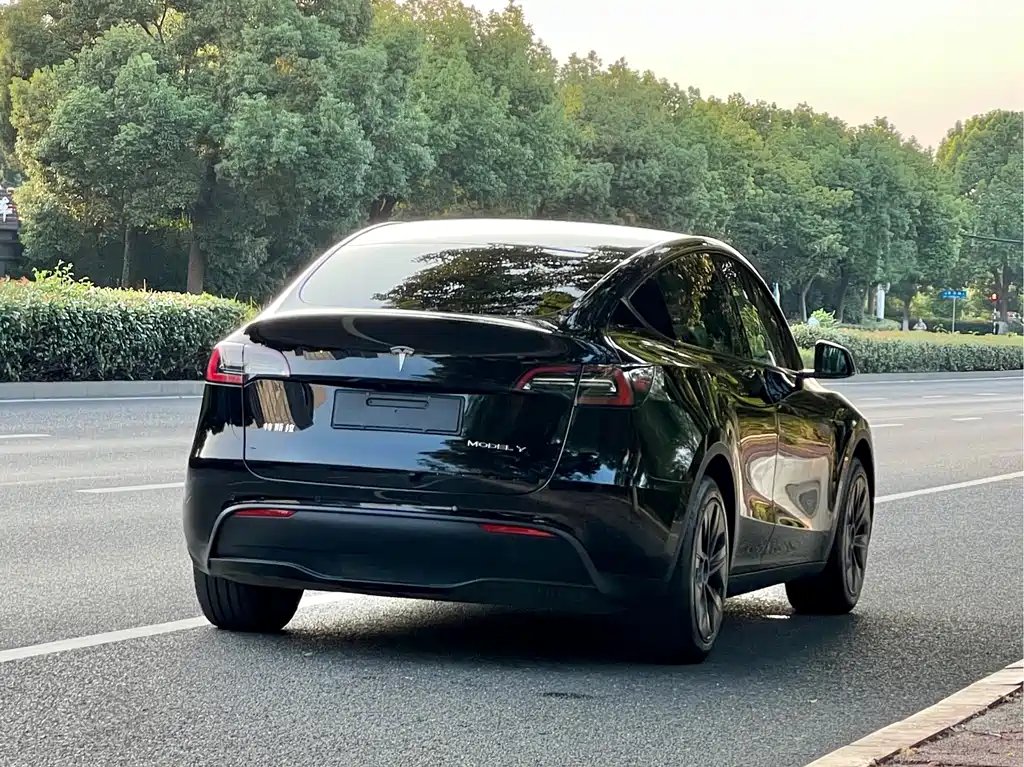 Tesla Model Y — миниатюра 3