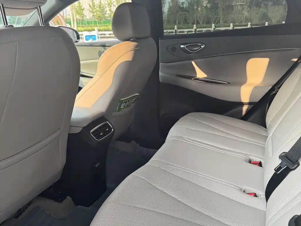 BYD Sea Lion 06 06 2025 DM-i 205 Pro