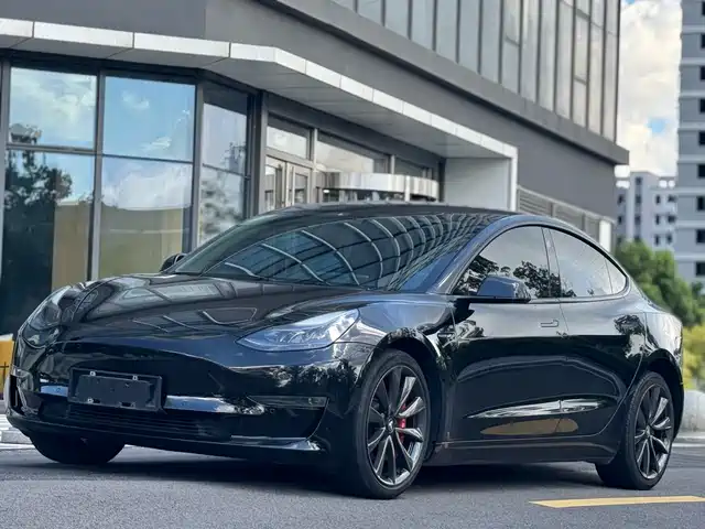 TESLA MODEL 3 2021
