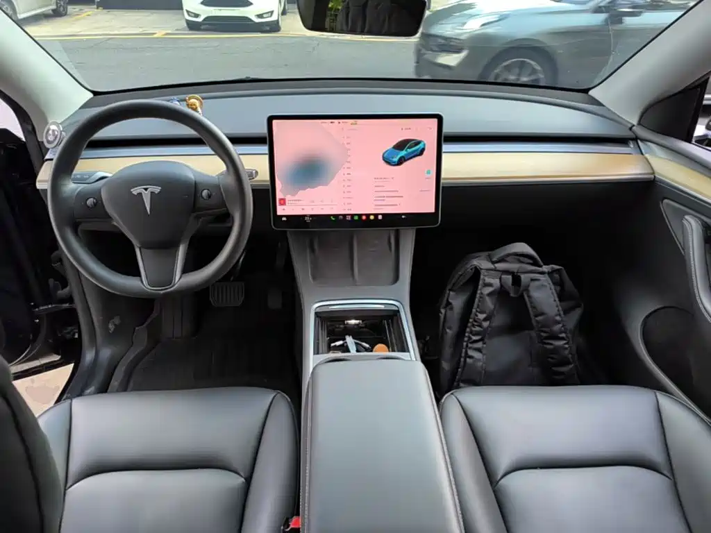 Tesla Model Y — миниатюра 10