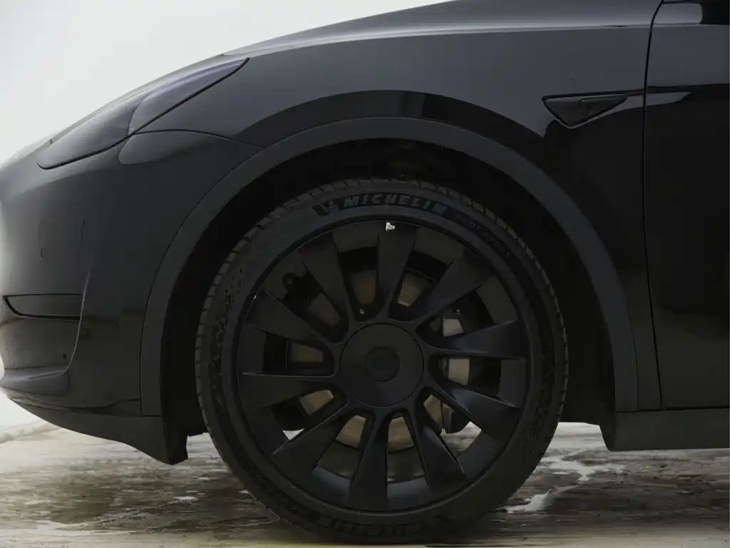 Tesla Model Y — миниатюра 22