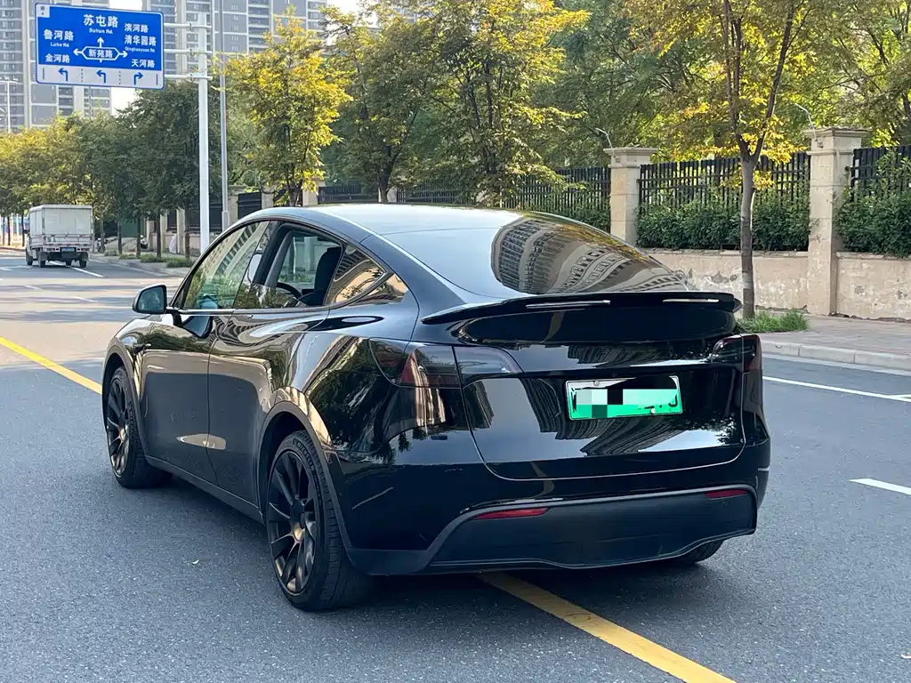 Tesla Model Y — миниатюра 5