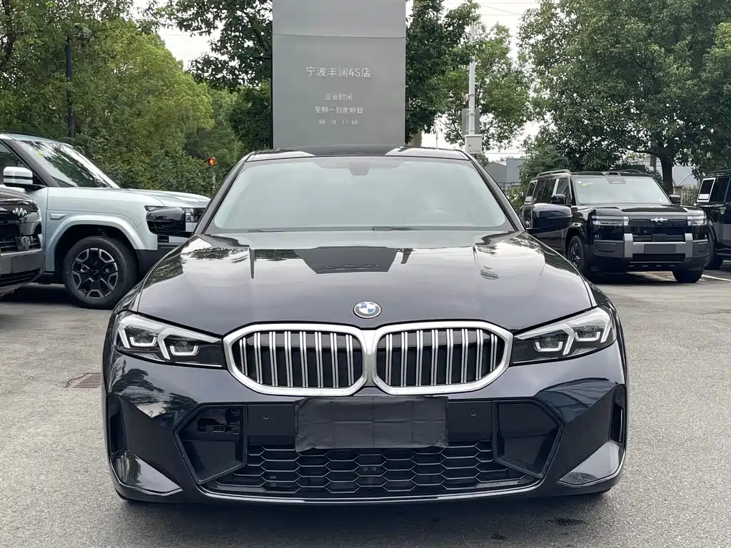 BMW 3 Series — миниатюра 2