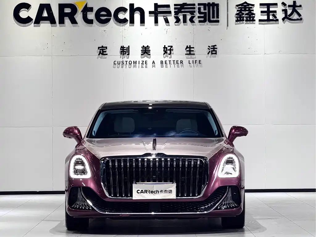 Hongqi Hongqi Golden Sunflower Guoya — миниатюра 2