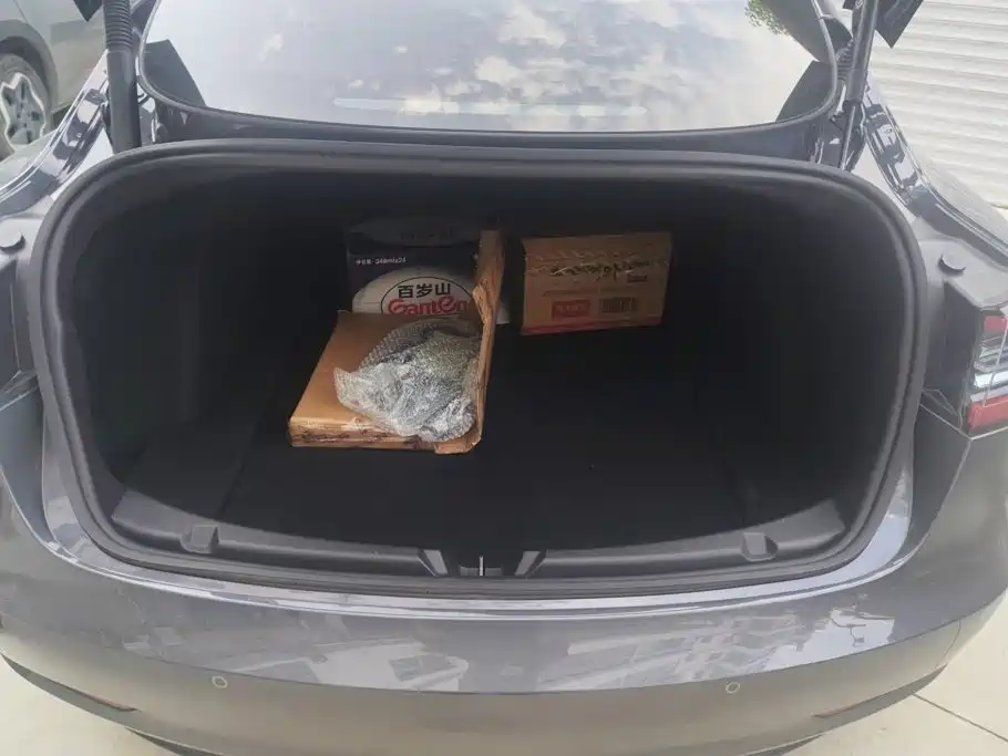 Tesla Model 3 — миниатюра 3