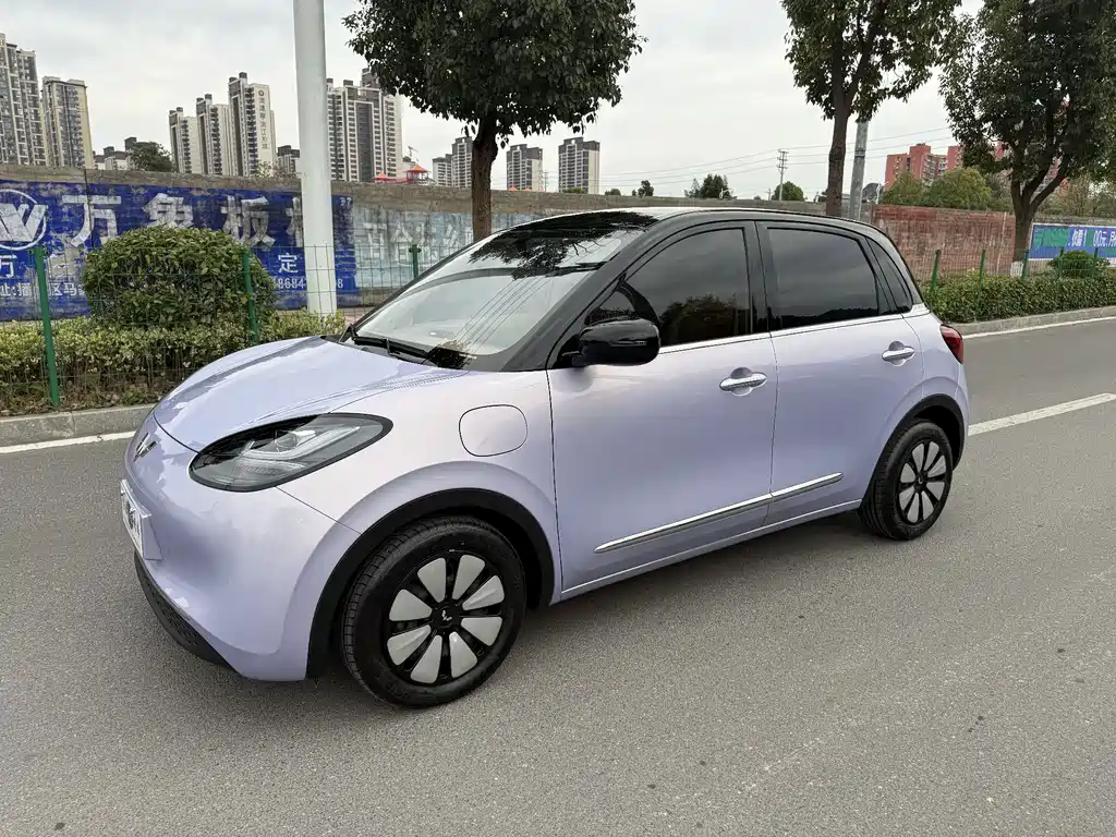 Wuling Bingo