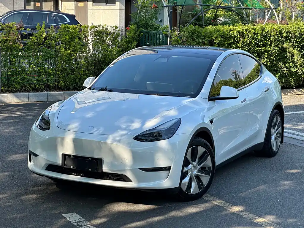 Tesla Model Y — миниатюра 3