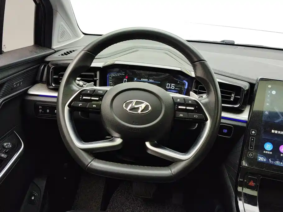 Hyundai Custo — миниатюра 15