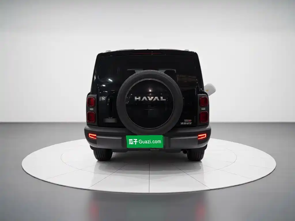 Haval Menglong New Energy — миниатюра 3