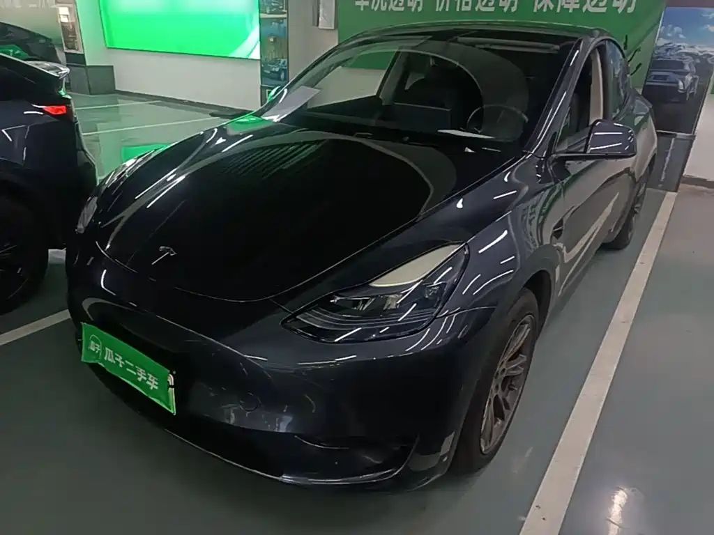 Tesla Model Y — миниатюра 2