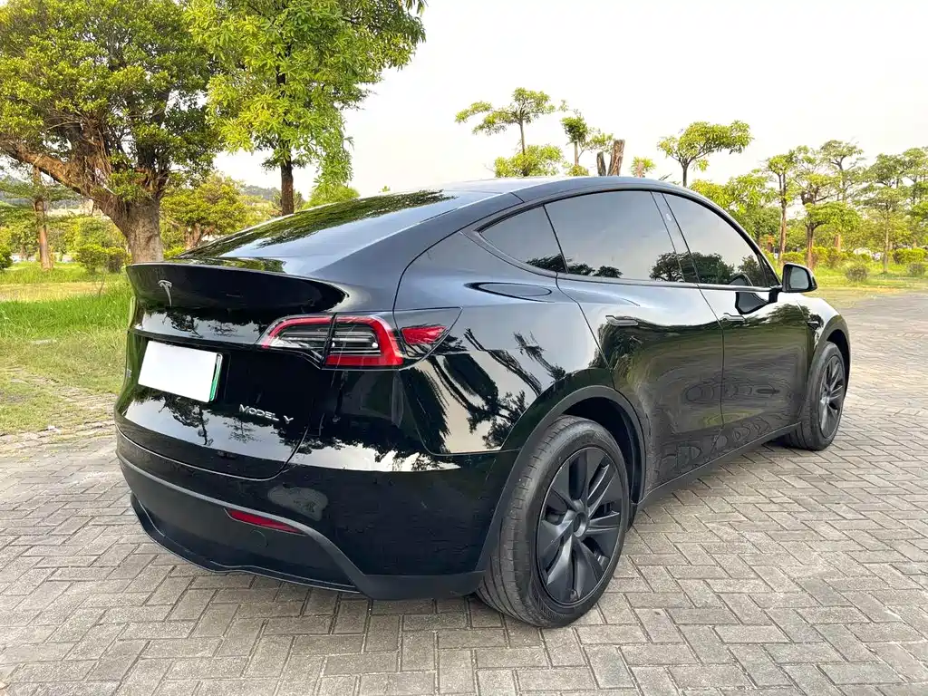 Tesla Model Y — миниатюра 9
