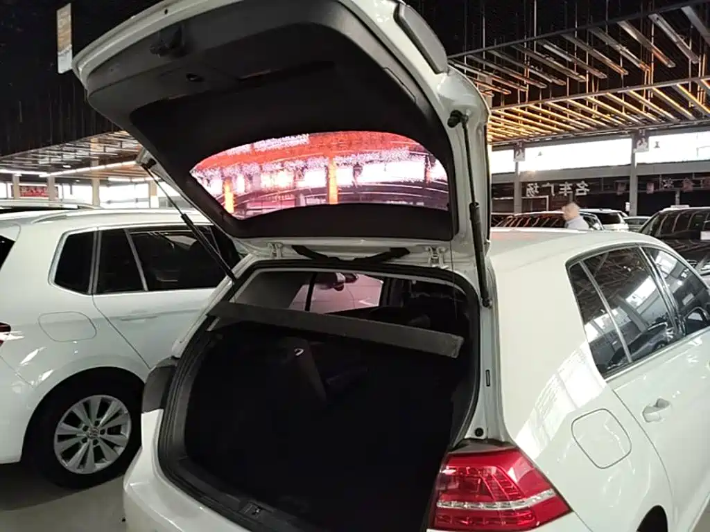Volkswagen Golf — миниатюра 19