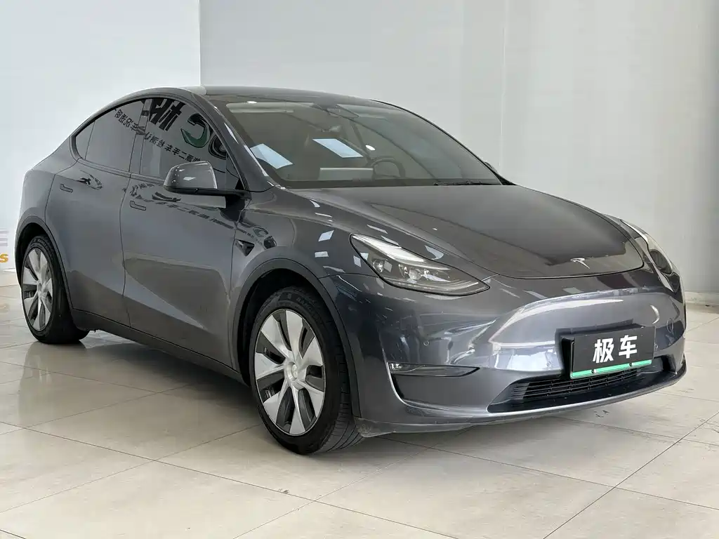Tesla Model Y — миниатюра 3