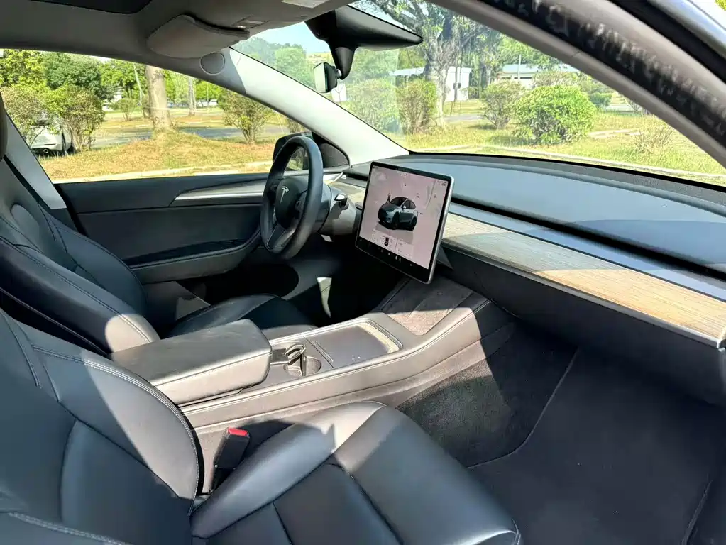 Tesla Model Y — миниатюра 2