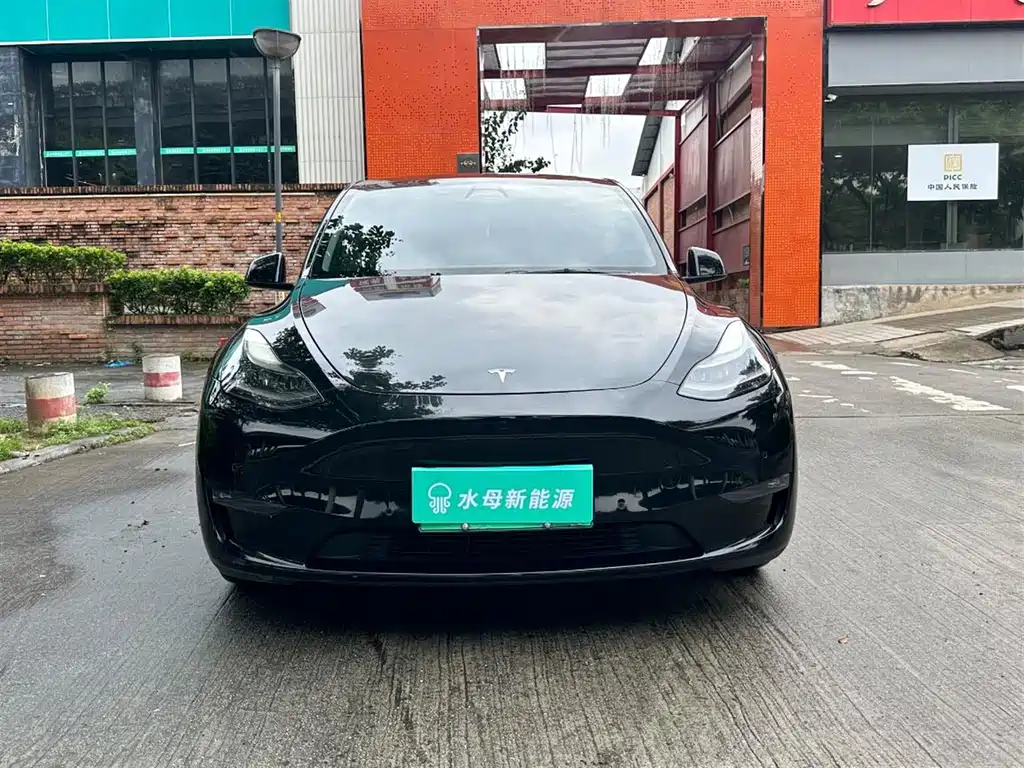 Tesla Model Y 2021 Performance