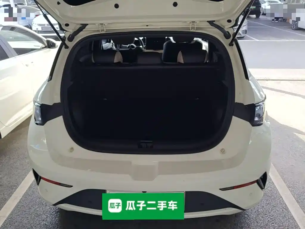BYD Dolphin — миниатюра 19
