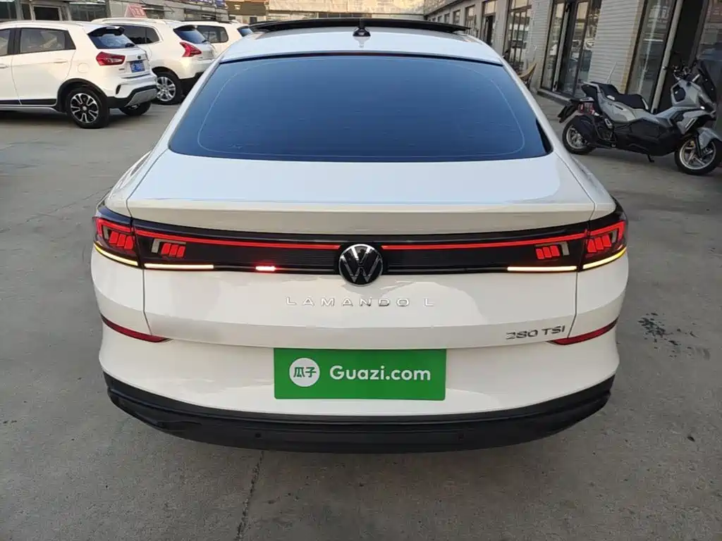 Volkswagen Lamando — миниатюра 6