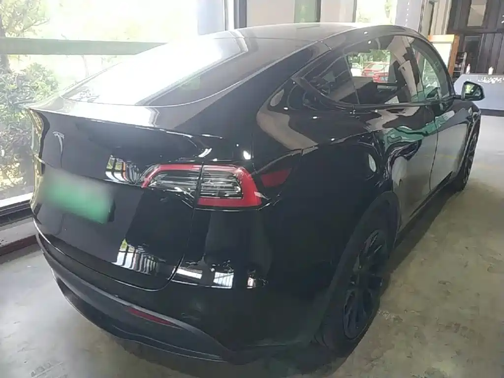 Tesla Model Y — миниатюра 7