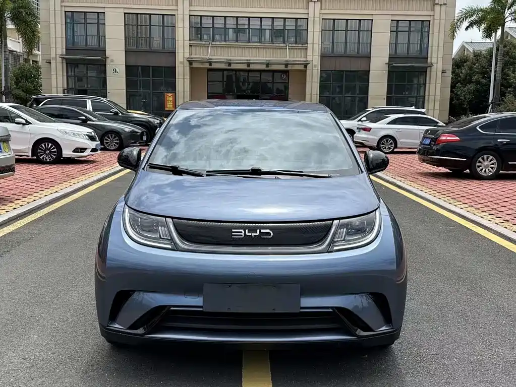 BYD Dolphin — миниатюра 2