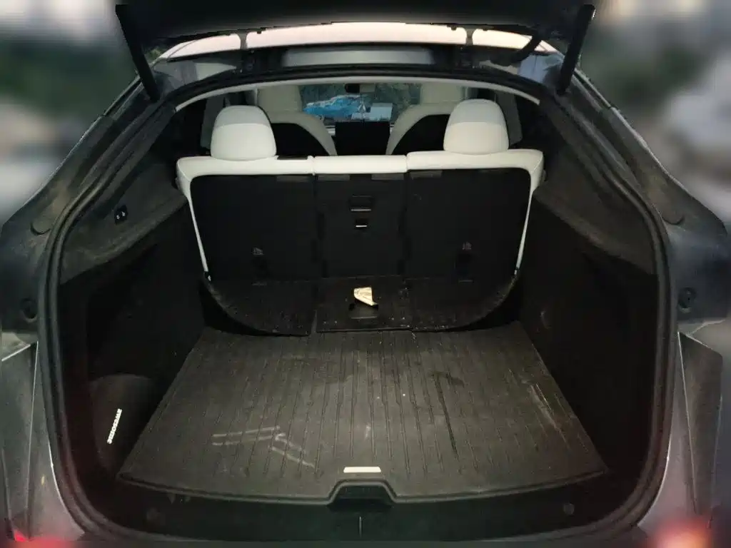 Tesla Model Y — миниатюра 10